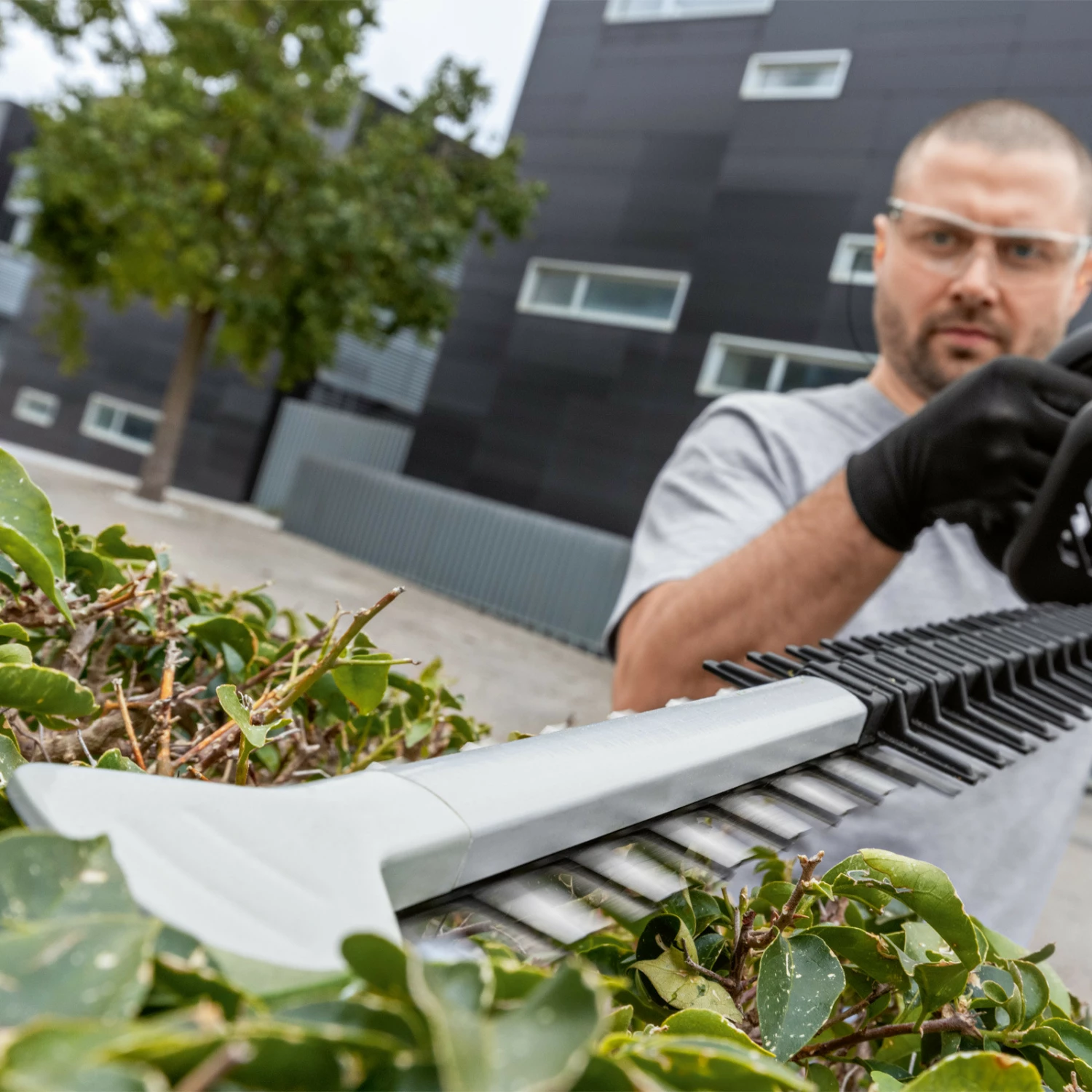 Bosch Akku-Heckenschere GHE 18V-60 Solo - 06008C9000 6 Bosch Akku-Heckenschere GHE 18V-60 Solo - 06008C9000 – Bild 4