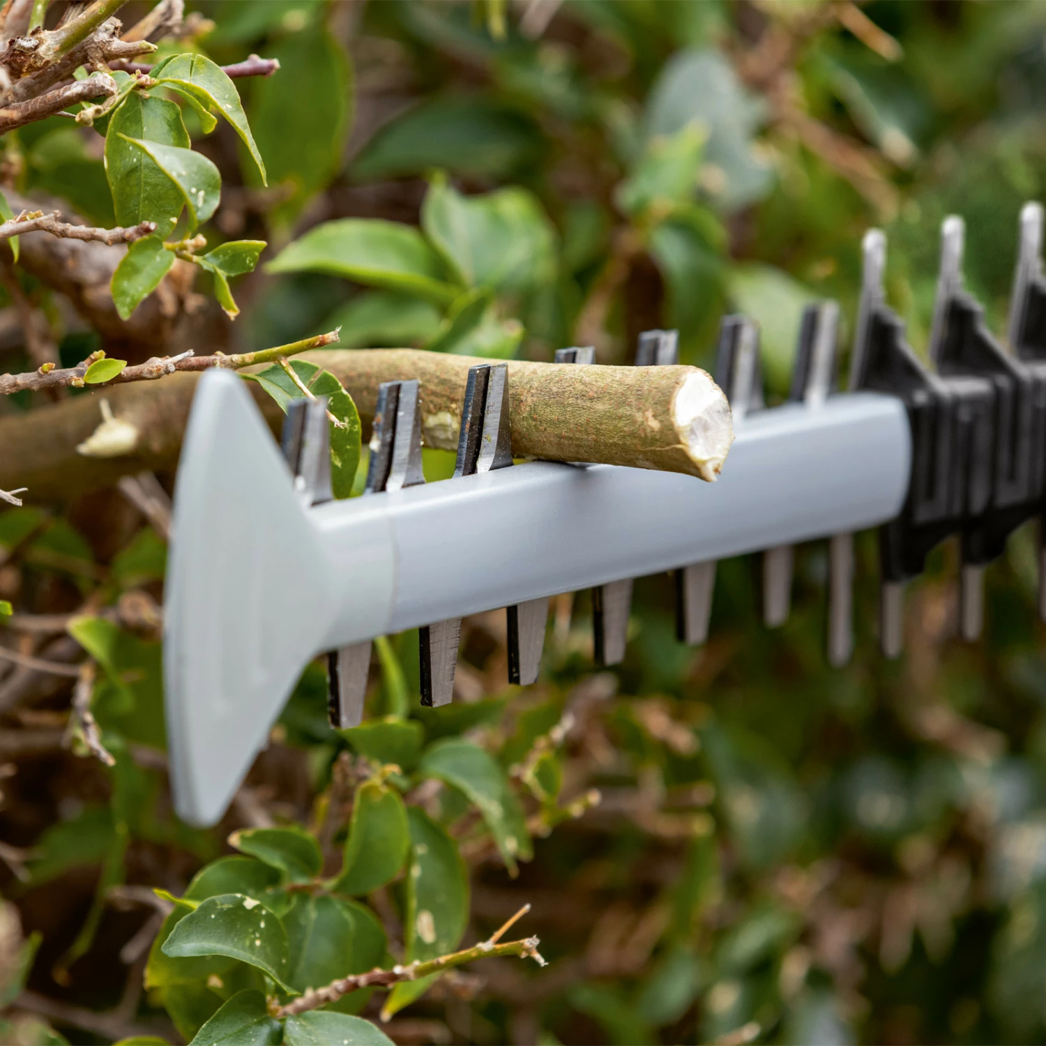 Bosch Akku-Heckenschere GHE 18V-60 Solo - 06008C9000 7 Bosch Akku-Heckenschere GHE 18V-60 Solo - 06008C9000 – Bild 5