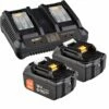 WS24 Akku Starter-Set 18 V / 2x 5,0 Ah Akku + Doppelschnellladegerät -elektrische Bohrmaschine Geschäft ws24 100451 03